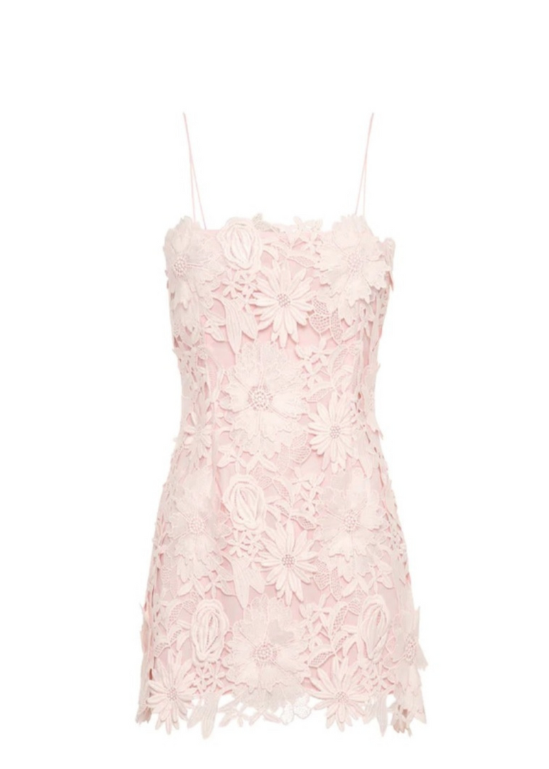 Cordis Floral Lace Mini Dress In Pink