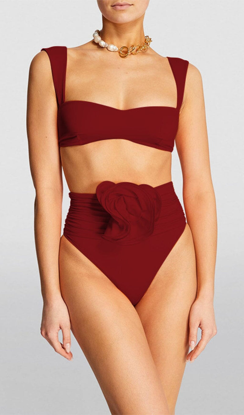 Bryony Rose Embellished Bikini Suit In Burgundy