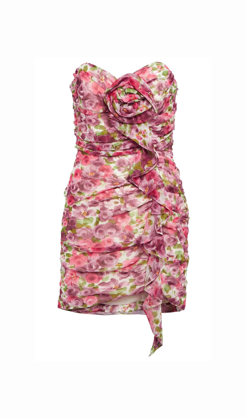 Dakana Floral Applique Ruffled Mini Dress In Red