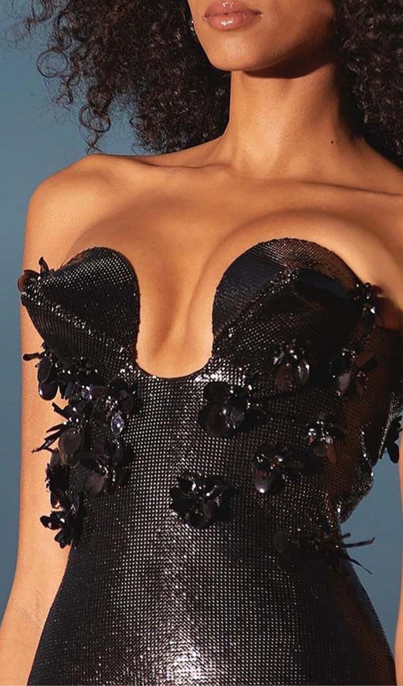 Elvire Sequin Appliquéd Maxi Dress In Black