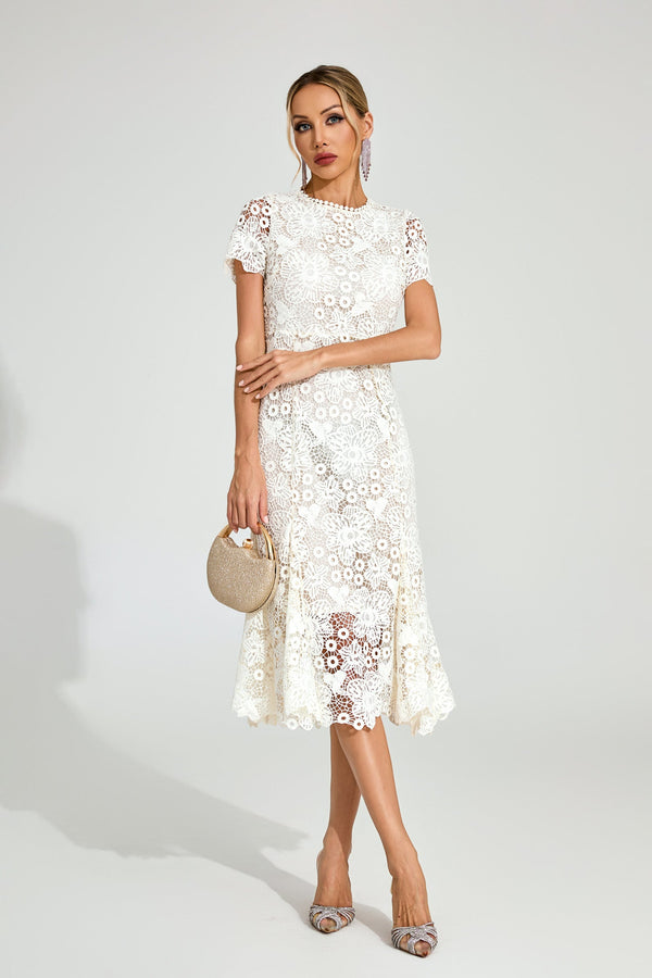 Daldris Lace Mermaid Dress In Apricot