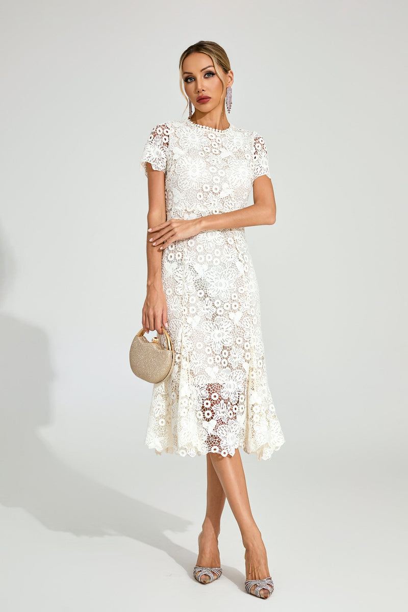 Daldris Lace Mermaid Dress In Apricot