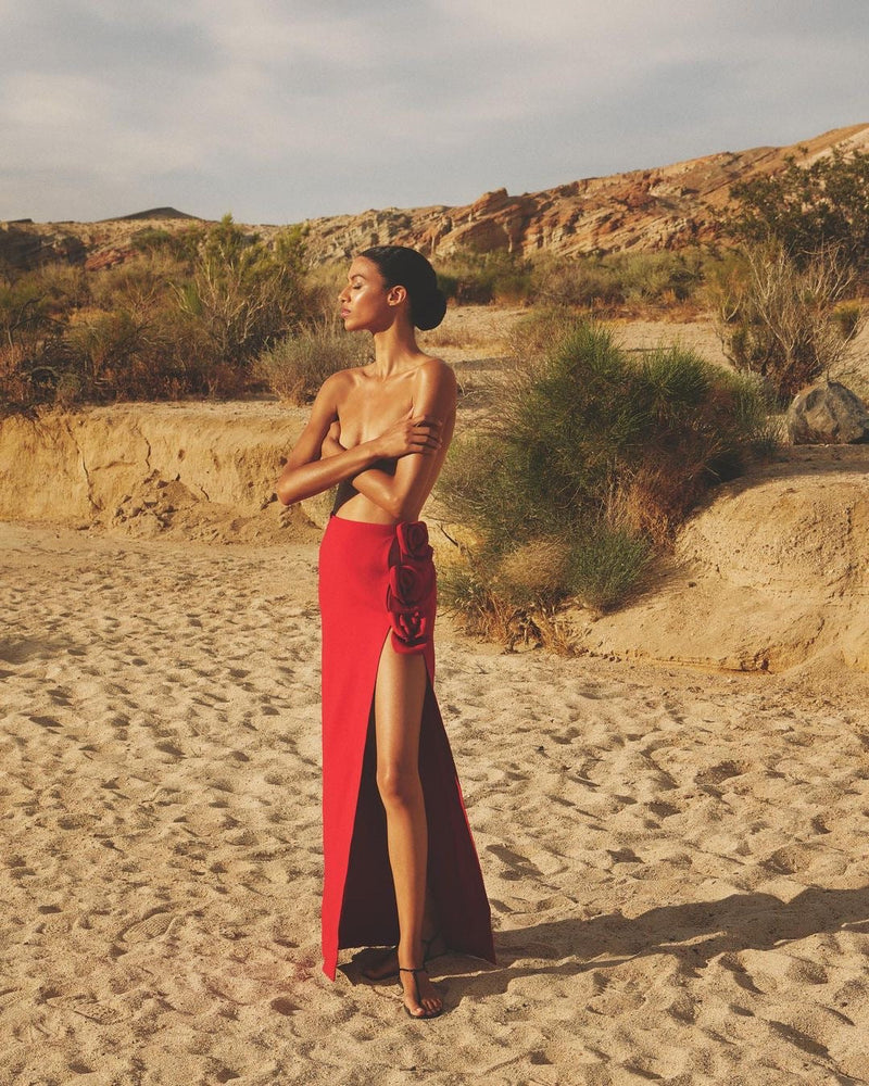 Bethany Floral-Appliqué Midi Skirt