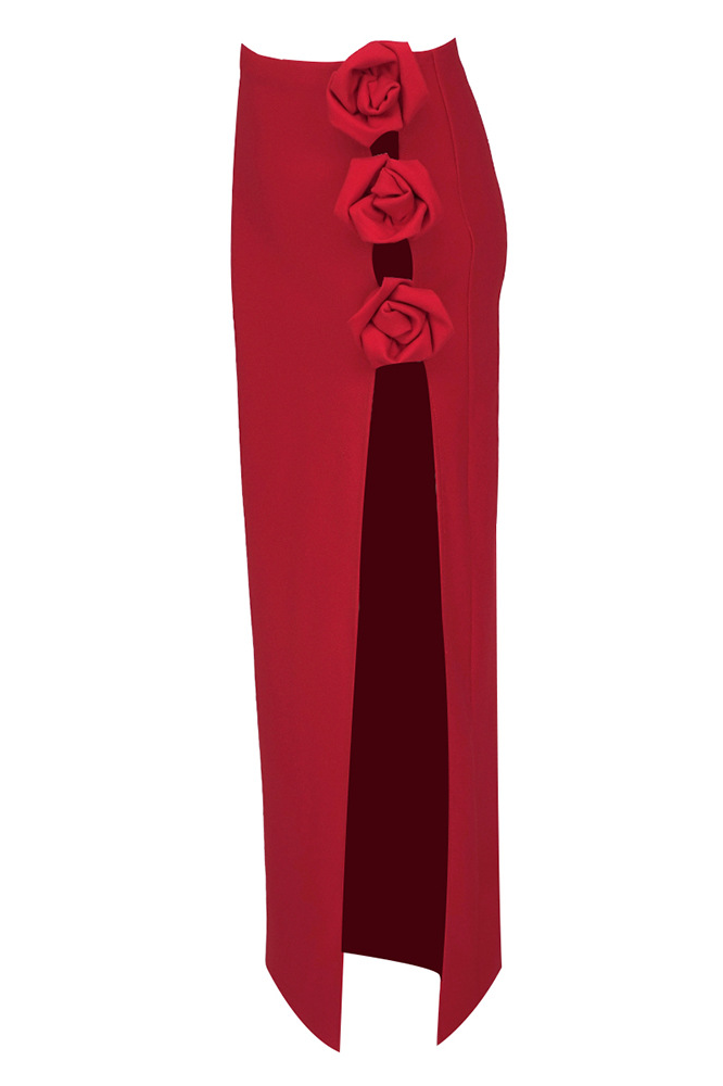 Bethany Floral-Appliqué Midi Skirt