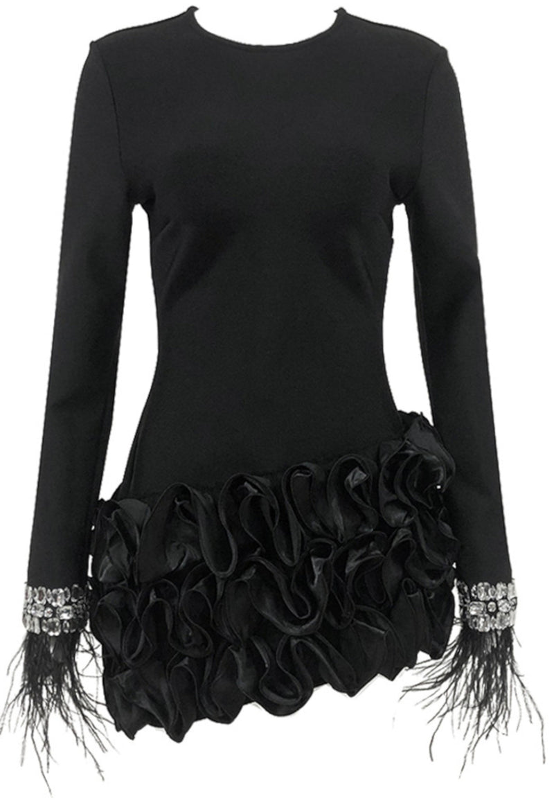 Ainara Crystal Feather Long Sleeve Ruffle Detail Mini Dress In Black